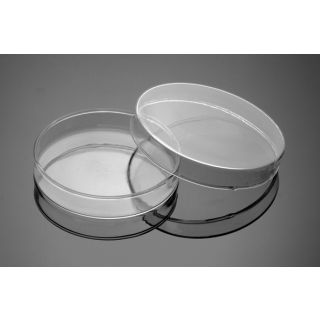 PLACA DE PETRI VIDRO 150X20MM (Ø EXTERNO X ALTURA)