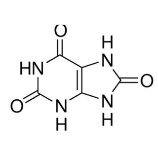 Ácido Úrico 25G - Sigma Aldrich Fórmula Empírica: C5H4N4O3 Cas: 69-93-2
