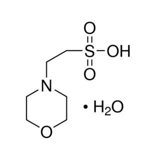 Mes H2O Buffer PA 100G - Sigma Aldrich (Ácido 2(N-Morfolino)Etanosulfônico H2O) Fórmula: C6H13NO4S·H2O CAS 145224-94-8