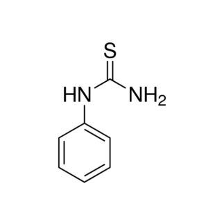 Febitiocarbamida 10g - Sigma Aldrich (N-pfeniltioureia / PTU / 1-fenil-2-tioureia CAS: 103-85-5 Formula: C6H5NHCSNH2