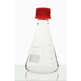FRASCO ERLENMEYER VIDRO GRADUADO COM TAMPA ROSCA 1000ML