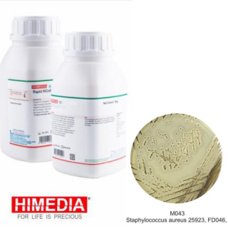 Agar Baird-Parker Base 100g - Himedia M043