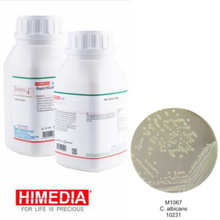 Agar Sabouraud Cloranfenicol 100g - Himedia M1067