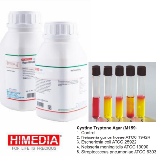 Meio Triptico Cistina 100g - Himedia M159