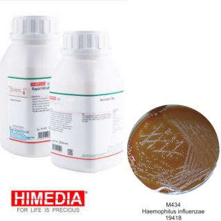 Meio GC 100g - Himedia M434