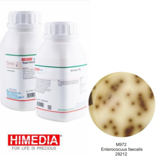 Agar Bile Esculina 100g - Himedia M972