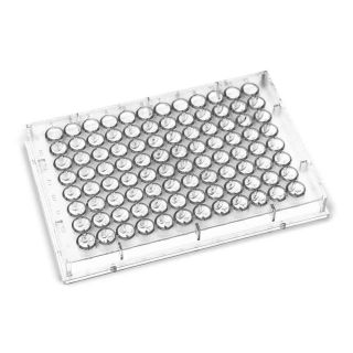 Microplaca De Microtitulacao 96 Pocos Fundo Em U Esteril (Microplaca Para Elisa)