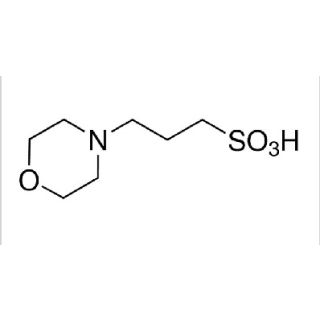 Mops 3 (N-Morfolino) Propanosulfonico 250g -Sigma Aldrich (Acido 3-Morfolinopropanosulfanico / 4-Morfolinopropanosulfon) Fórmula  C7H15NO4S